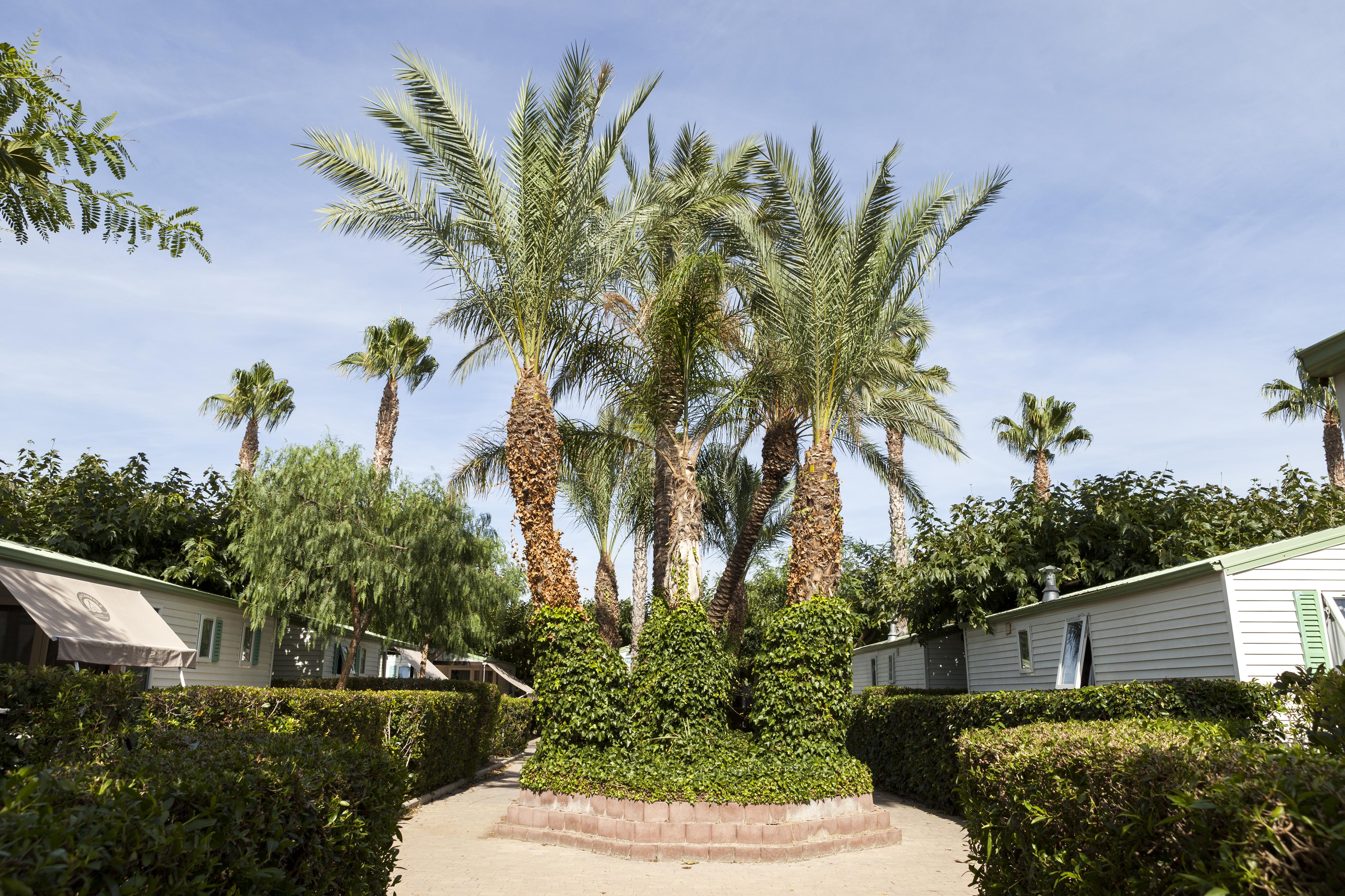 Camping Platja Cambrils Esterno foto